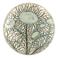 John Derian Moss Tree
