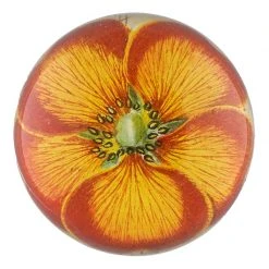 John Derian Orange Nasturtium Decoupage