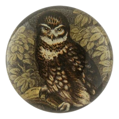 John Derian Owl With Leaves Decoupage