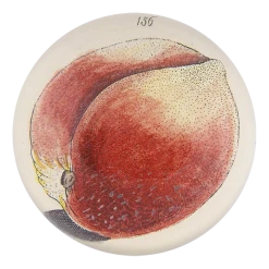 John Derian Peach 156 Decoupage