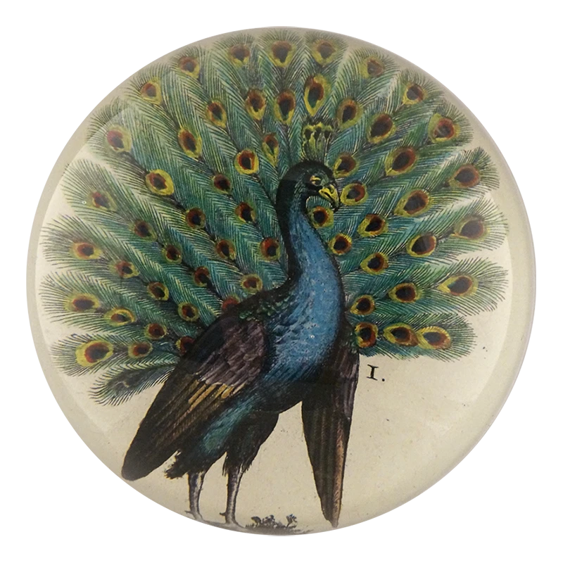 John Derian Peacock I 3 John Derian Peacock I