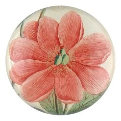 John Derian Decoupage Pink Paeonia