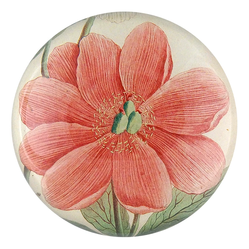 John Derian Decoupage Pink Paeonia 3 John Derian Decoupage Pink Paeonia