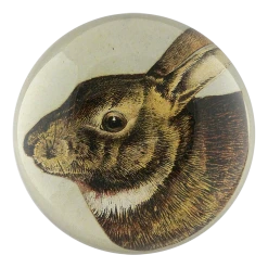 John Derian Scrapbook Hare - FINAL SALE Easter
