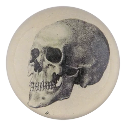 John Derian The Skull - FINAL SALE Halloween