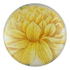 John Derian Yellow Narcissus (on Stem) Decoupage
