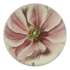 John Derian Anemone Japonica Decoupage