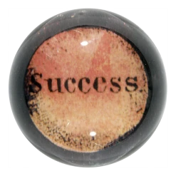 John Derian Decoupage Fruits Of The Tree Of Temperance: Success