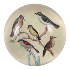 John Derian Feathered Friends