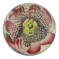John Derian Passion Flower Open