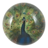 John Derian Peacock Close-up Decoupage 2 John Derian Peacock Close-up Decoupage