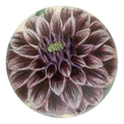 John Derian Purple Dahlia Decoupage