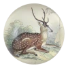 John Derian Decoupage Sitting Deer