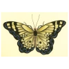 John Derian Company Inc Small Goods Butterfly