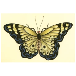 John Derian Company Inc Small Goods Butterfly