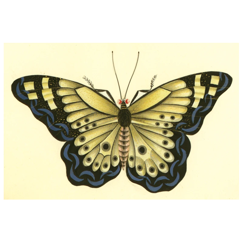John Derian Company Inc Small Goods Butterfly 3 John Derian Company Inc Small Goods Butterfly