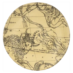 John Derian X ADV Capricorne Plate Dining & Tabletop