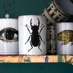 John Derian X ADV Dining & Tabletop Architecture Cup Without Handle