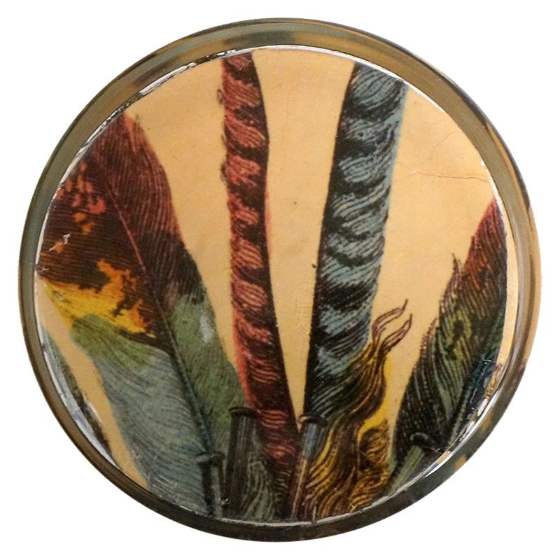 John Derian Dreams 5 John Derian Dreams