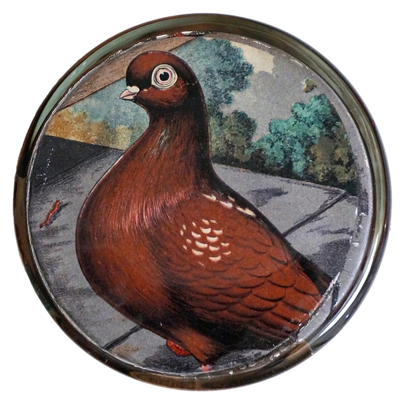 John Derian Flying Tumblers Decoupage 5 John Derian Flying Tumblers Decoupage