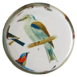John Derian Numbered Birds