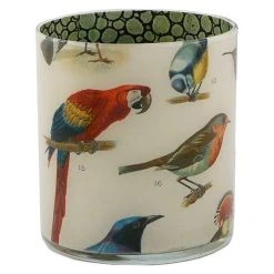 John Derian Numbered Birds