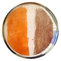 John Derian Orange Green Decoupage