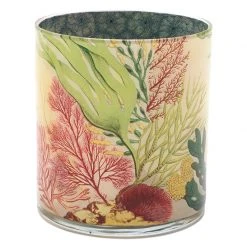 John Derian Sea Life