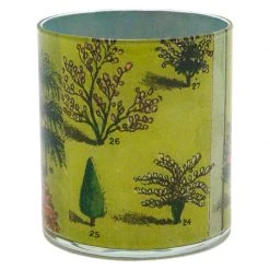 John Derian Shrubs Decoupage
