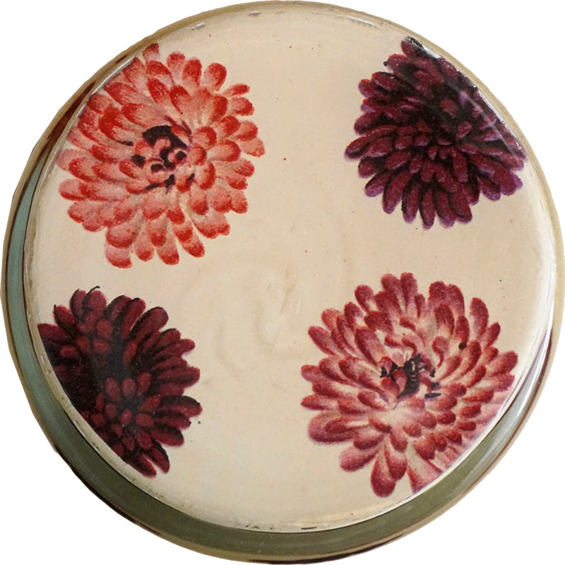 John Derian Cineraria 5 John Derian Cineraria