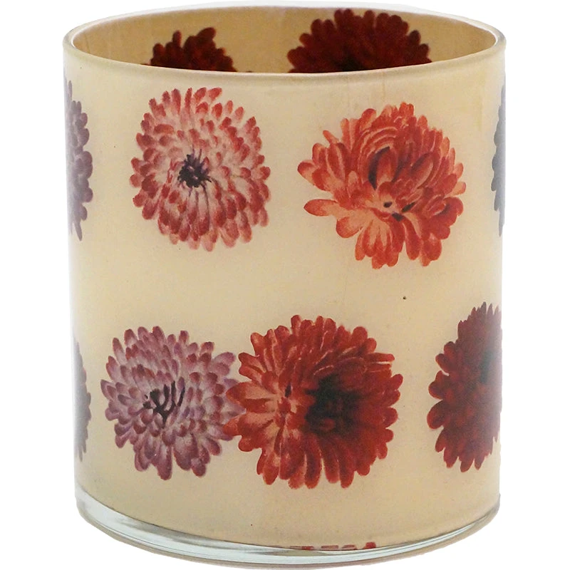 John Derian Cineraria 4 John Derian Cineraria