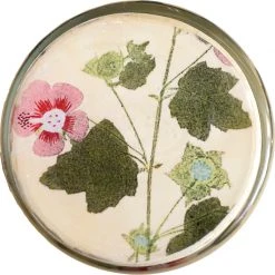 John Derian Decoupage Malva