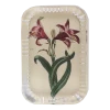 John Derian Belladonna Decoupage