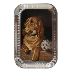 John Derian Buddies - FINAL SALE