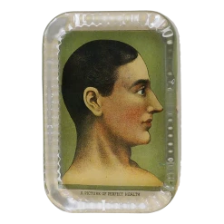 John Derian A Picture Of Perfect Health