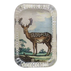 John Derian Stag XLVI Decoupage