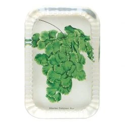 John Derian Adiantum Farleyense Moore Decoupage