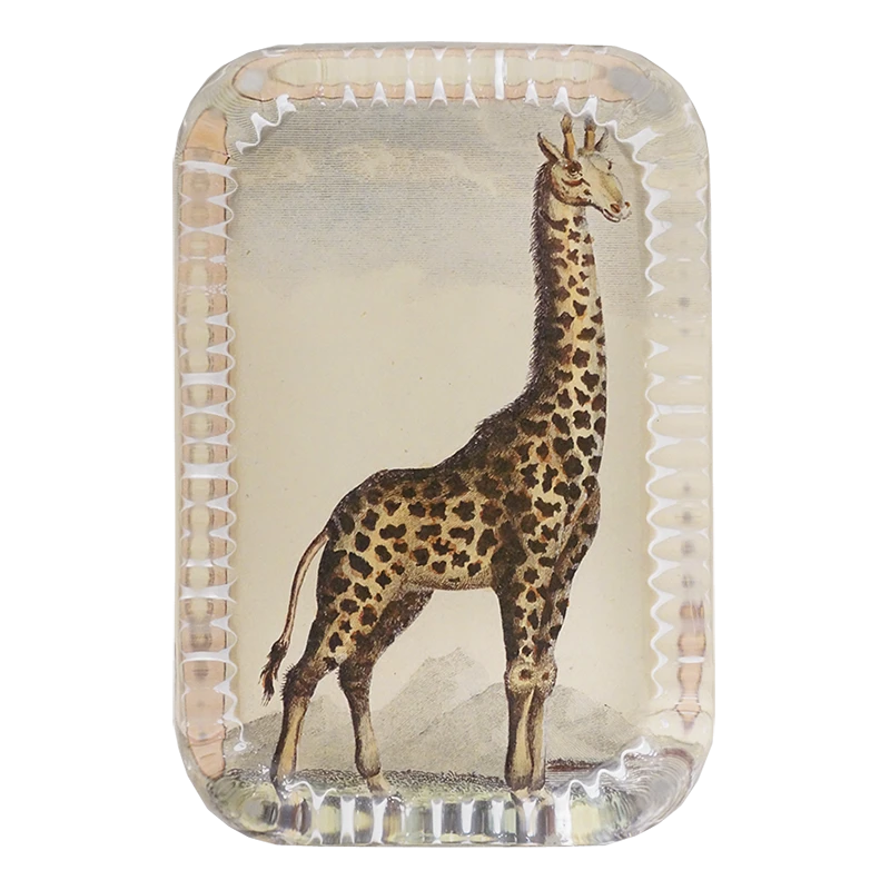 John Derian Giraffe Pl. 290 Decoupage 3 John Derian Giraffe Pl. 290 Decoupage