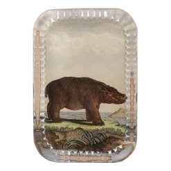 John Derian Decoupage Hippo Pl. 244