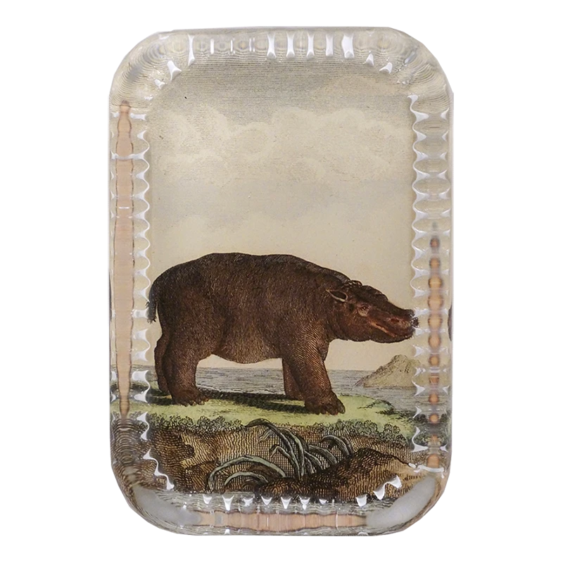 John Derian Decoupage Hippo Pl. 244 3 John Derian Decoupage Hippo Pl. 244