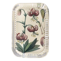 John Derian Decoupage Lilium Martagon