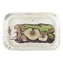 John Derian Decoupage Mossy Log