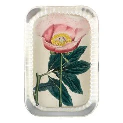 John Derian Picadilly