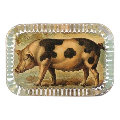 John Derian Decoupage Pig On Farm