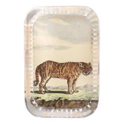 John Derian Decoupage Tiger Pl.166