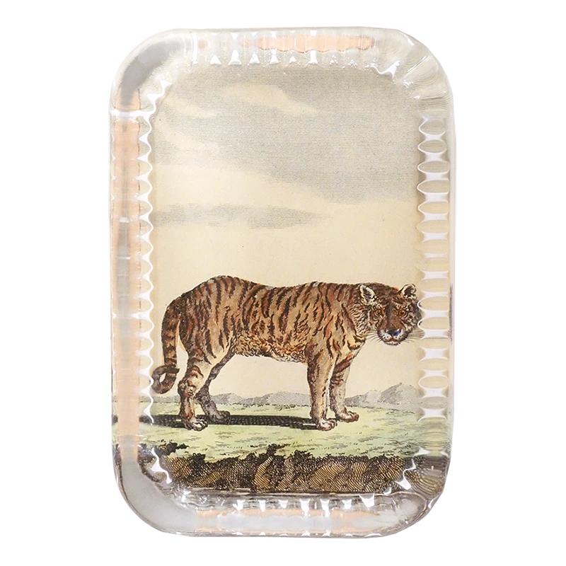 John Derian Decoupage Tiger Pl.166 3 John Derian Decoupage Tiger Pl.166