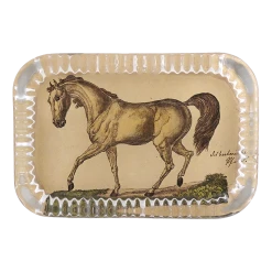 John Derian Wild Horse L