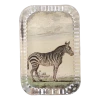 John Derian Zebra Pl. 239 1 John Derian Zebra Pl. 239