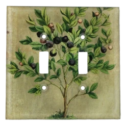 John Derian Blueberries Decoupage