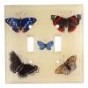 John Derian Butterflies Decoupage